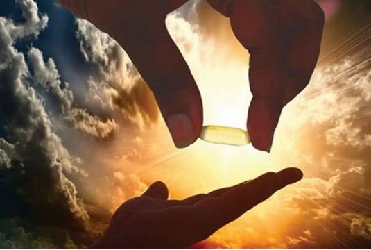 ভিটামিন ডি যুক্ত খাবার কি কি